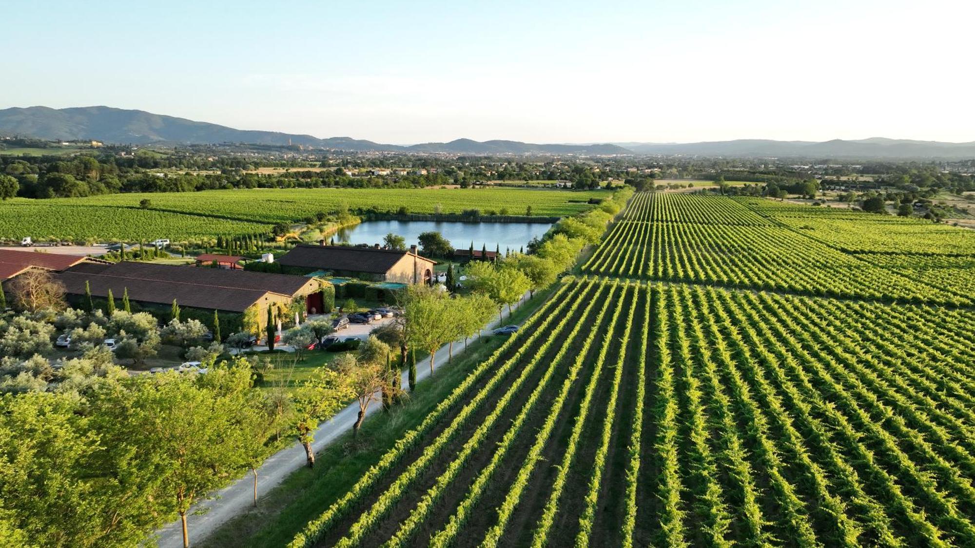Il Palazzo - Agriturismo, Winery アレッツォ エクステリア 写真