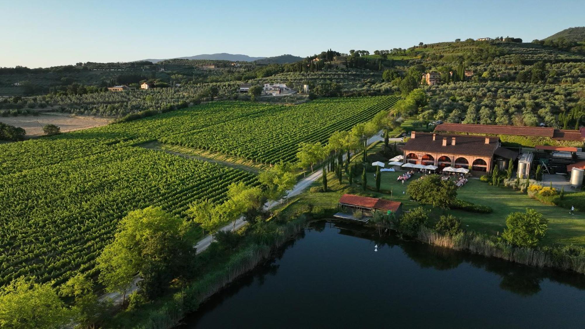 Il Palazzo - Agriturismo, Winery アレッツォ エクステリア 写真