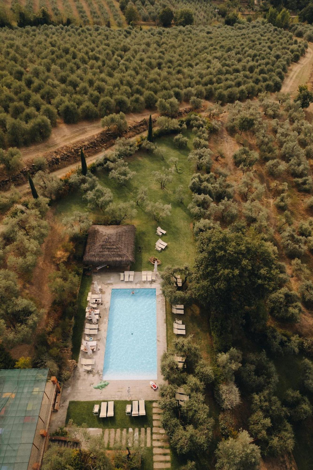 Il Palazzo - Agriturismo, Winery アレッツォ エクステリア 写真